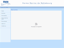 Tablet Screenshot of fmm.mu